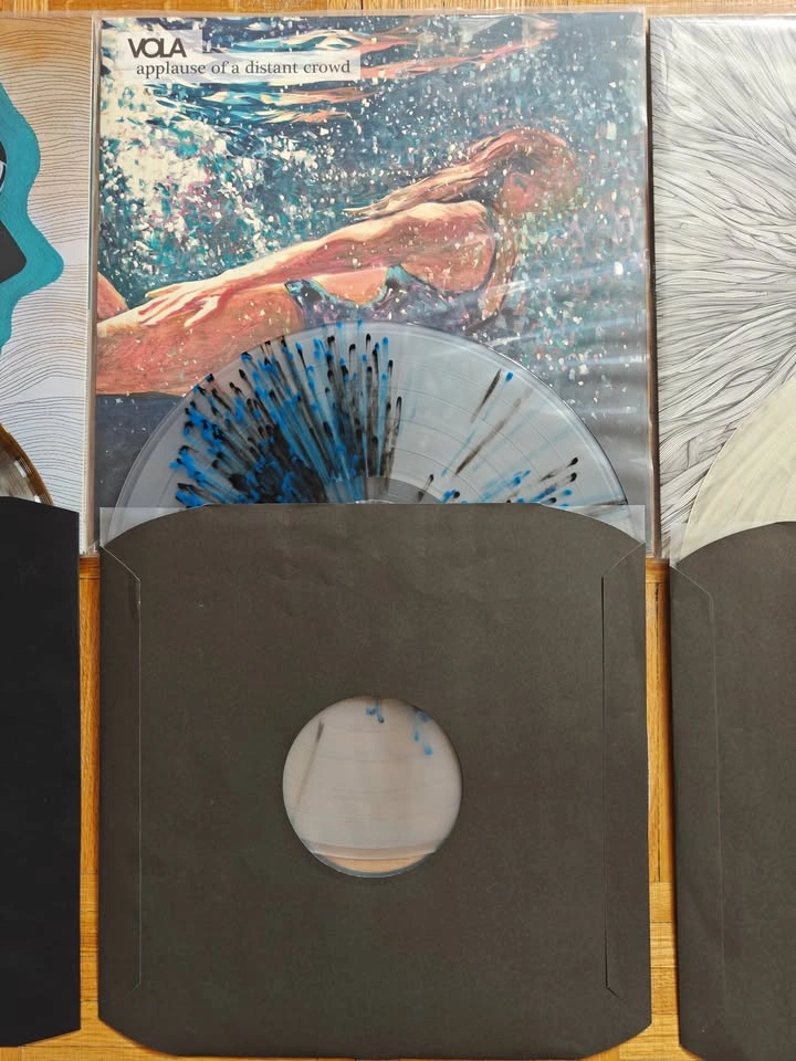 VOLA Vinyl Records Lot — Inmazes, Applause, Witness, Friend of a - photo 4