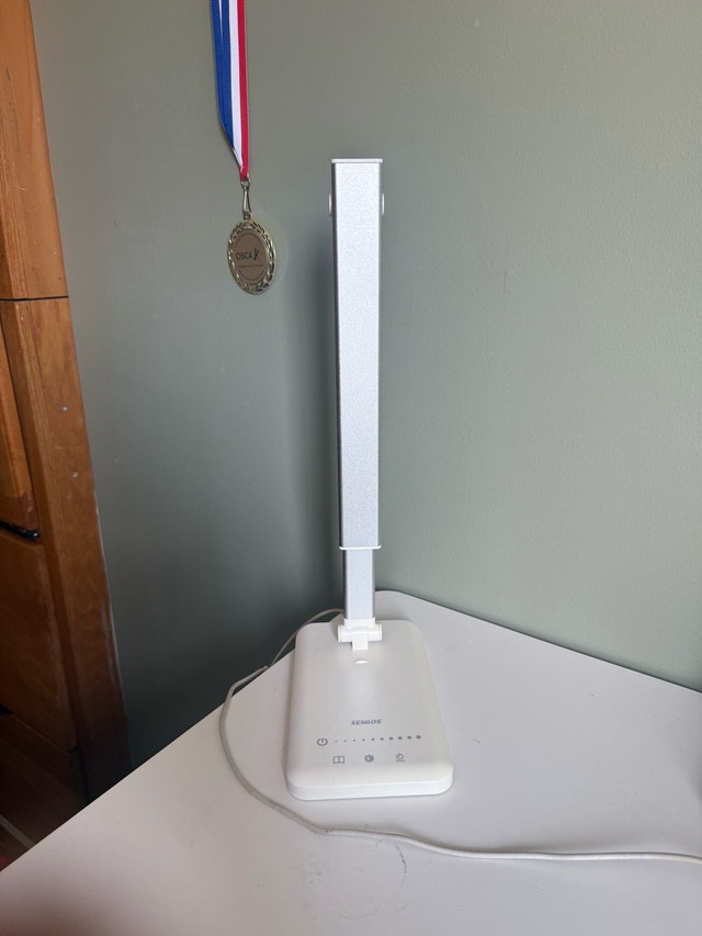 Moveout sale : Office Lamp - photo 2