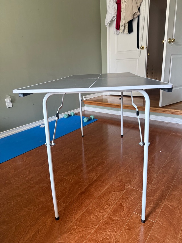 Moveout sale : Ping pong (Table tennis) table with 4 paddles