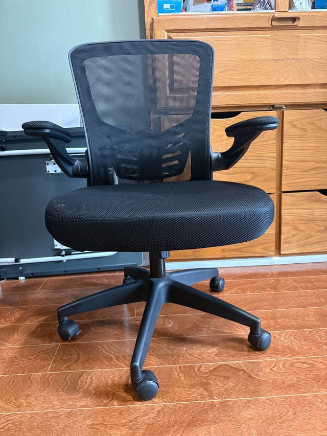 Moveout sale : Office chair - photo 2
