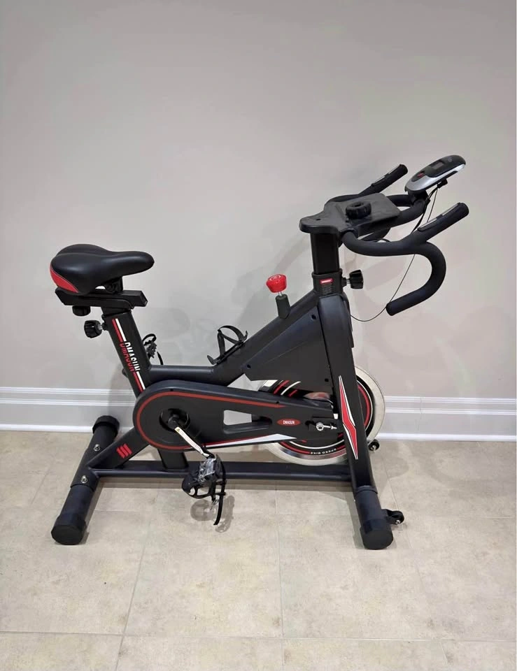 DMASUN Exercise Bike
