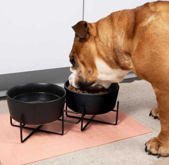 Pet Elevated Feeding Station - photo 2
