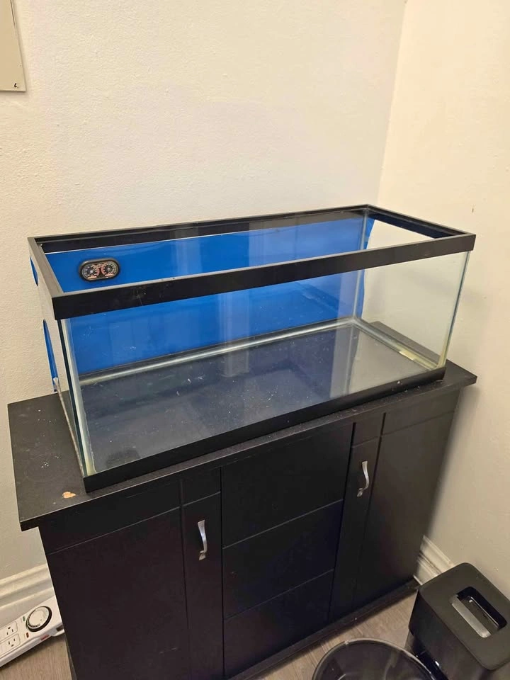Complete 20-Gallon Long Reptile Habitat Setup – $190 OBO