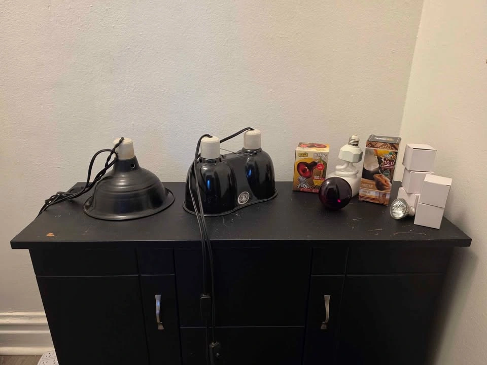 Complete 20-Gallon Long Reptile Habitat Setup – $190 OBO - photo 4