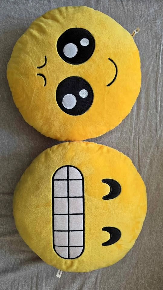 Plush Pillows/Cushions (Set of 2)