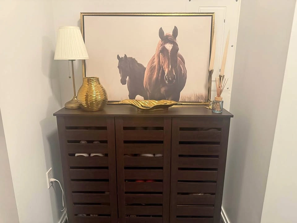 Shoe cabinet