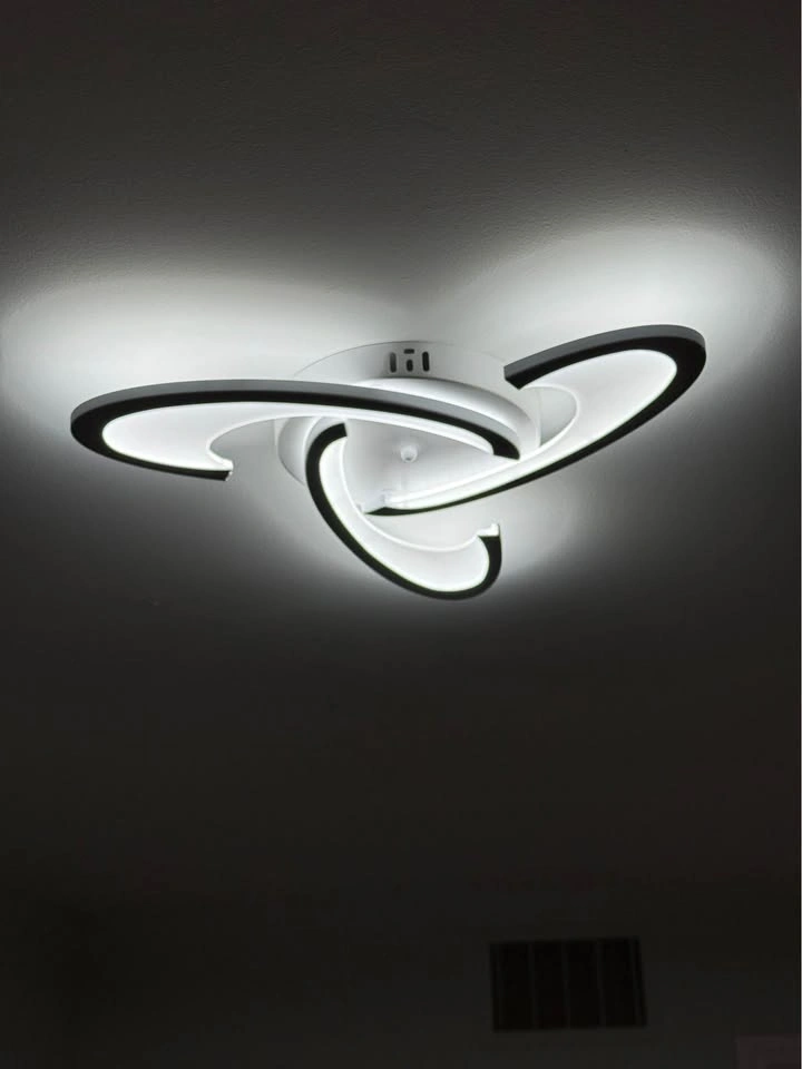 Modern Spiral LED Ceiling Light Fixture - Set of 2 - photo 3
