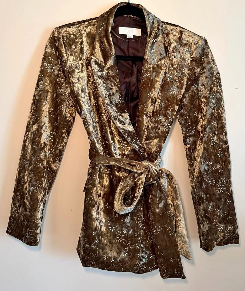 Zara velvet blazer & pants