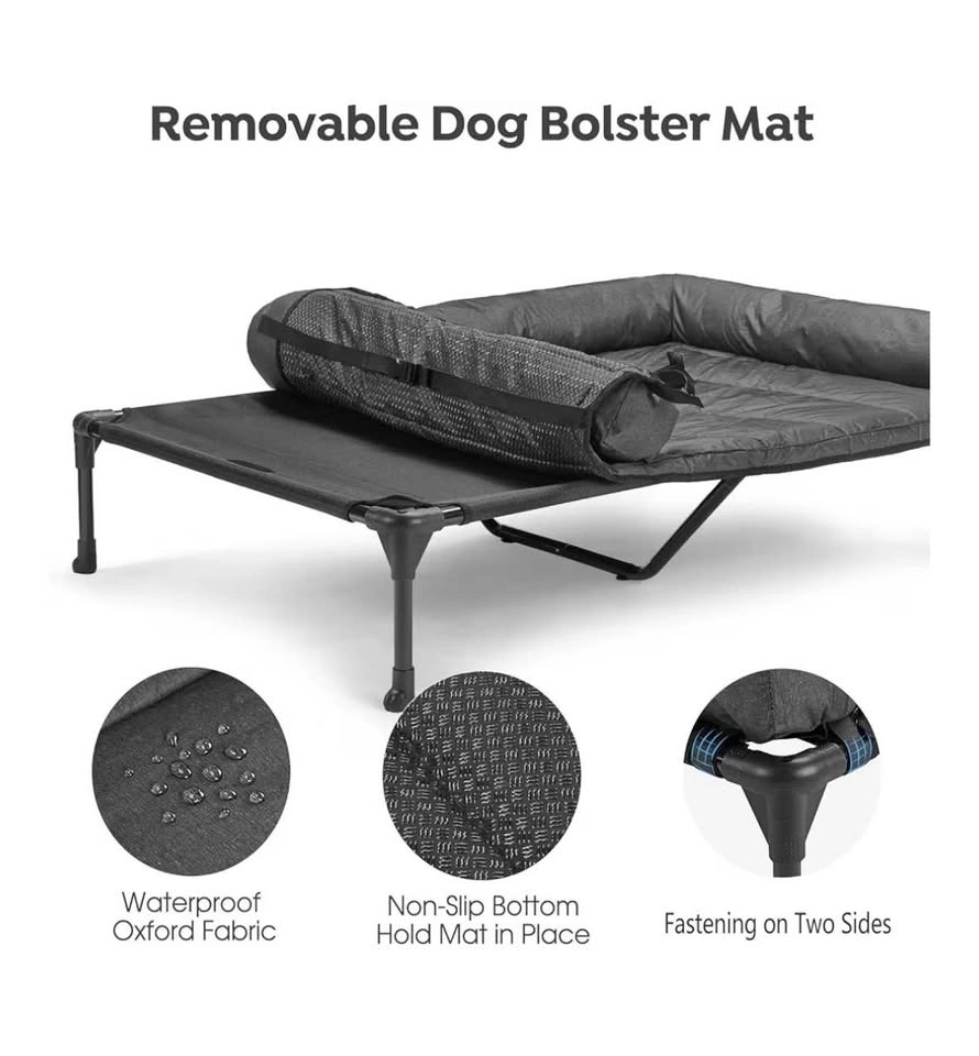 Elevated Dog Bed – Good Condition - photo 3