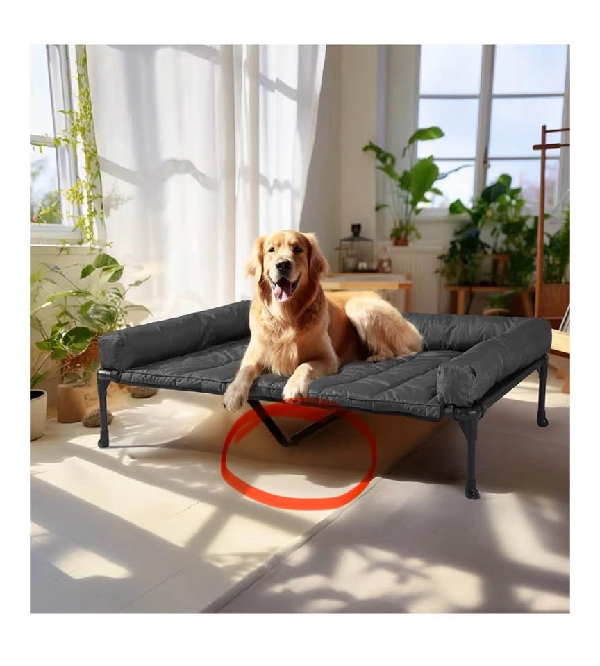 Elevated Dog Bed – Good Condition - photo 4
