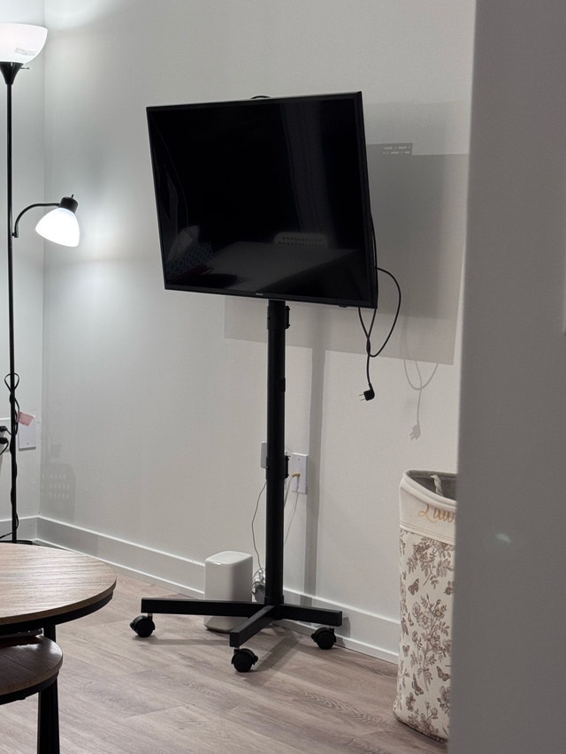 TV + Mobile TV Stand