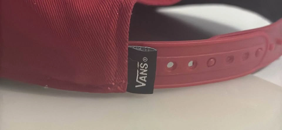 The Simpsons X Vans El Barto Cap - photo 3