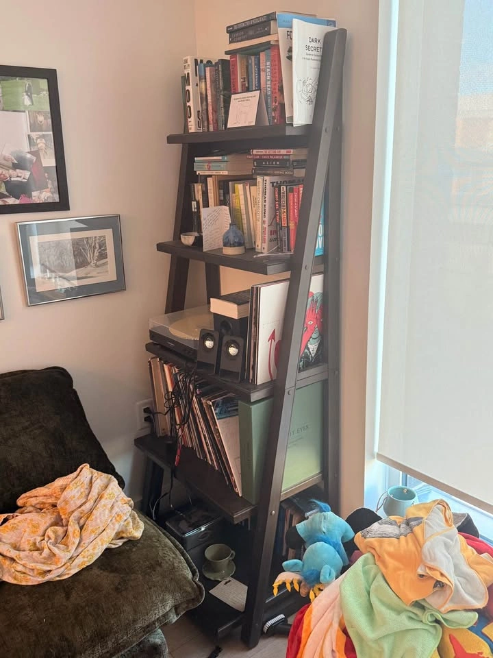 Angled and Sturdy Bookshelves - photo 2