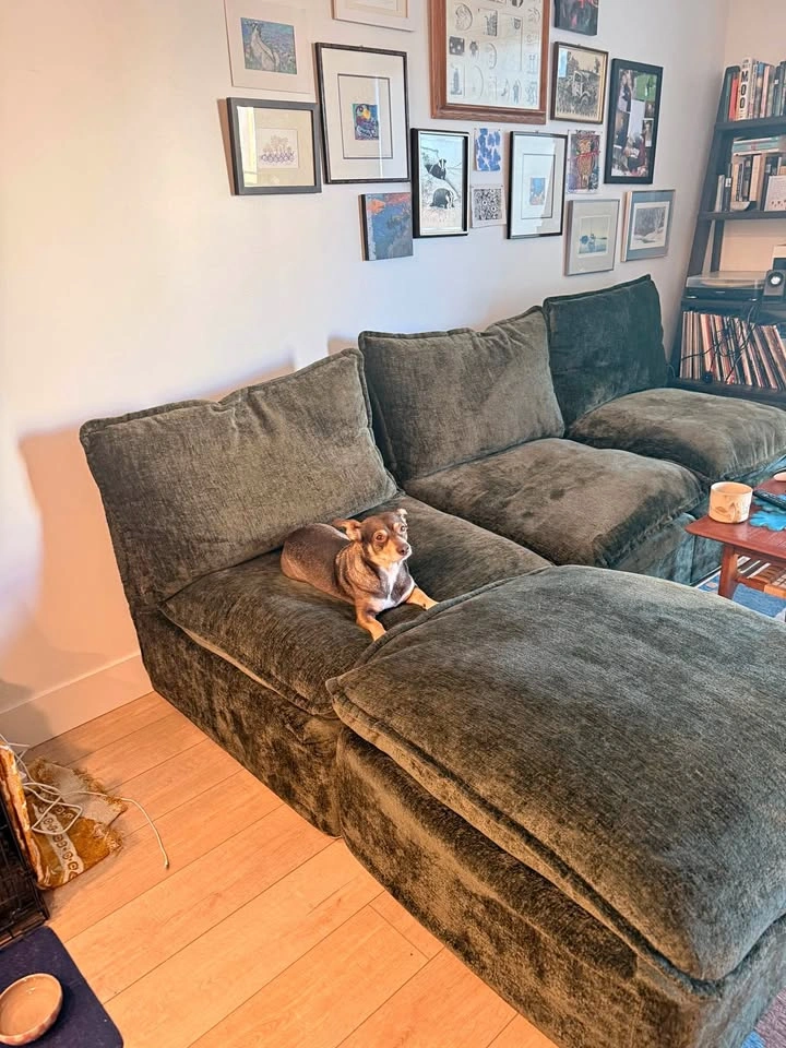 Cozey Gaia Sofa in Sage