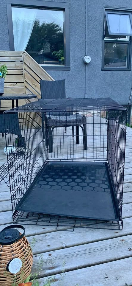 Dog Crate XL measurements in listing
