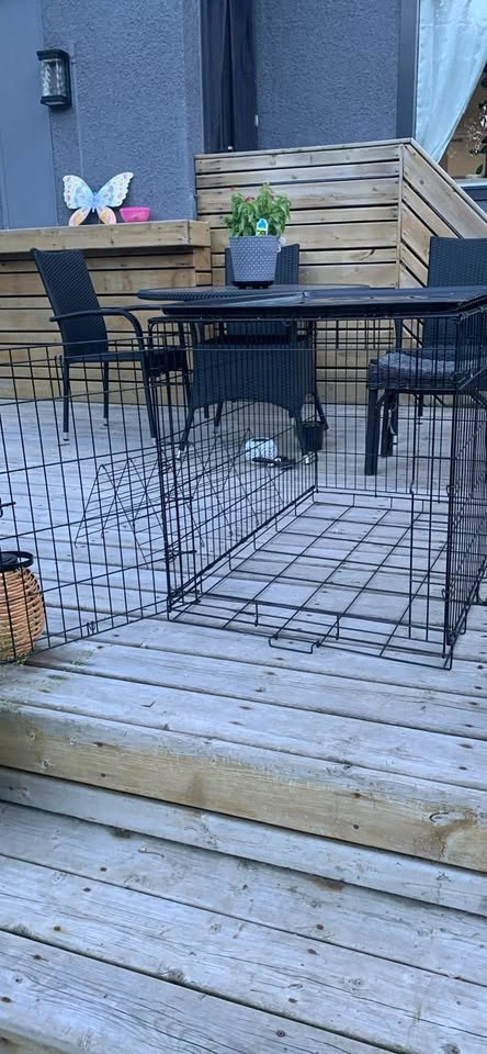 Dog Crate XL measurements in listing - photo 2