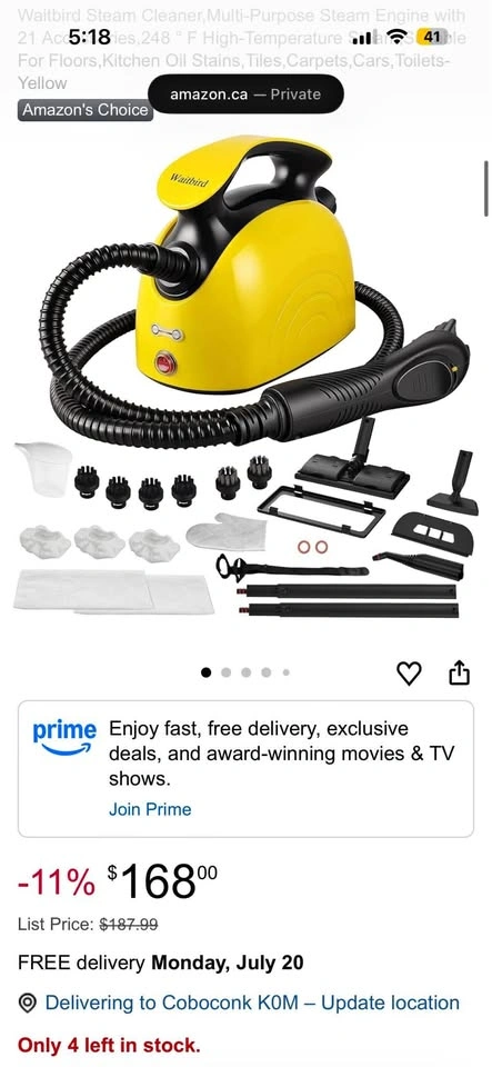 BNIB Steam cleaner mutlipurpouse