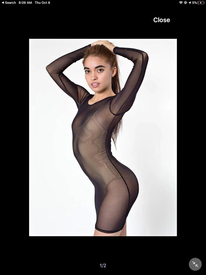 American Apparel Nylon Spandex Micro-Mesh Long Sleeve Mini Dress