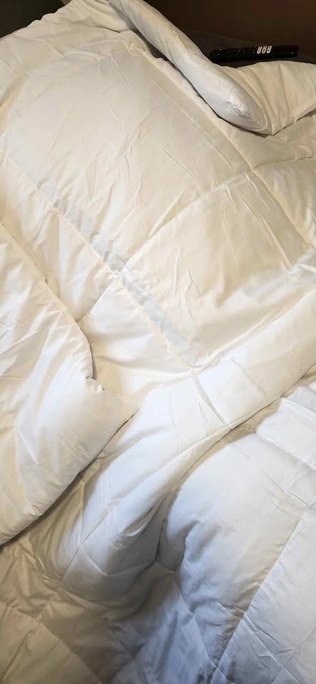 Twin/ Twin XL Comforter Duvet