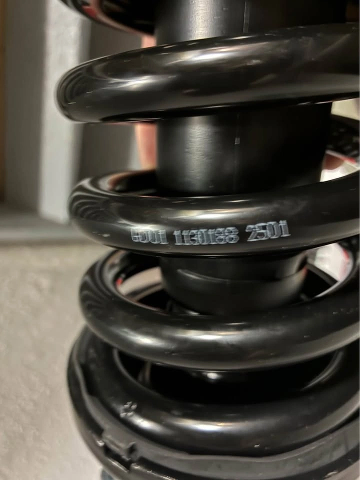Detroit Axle Strut and Spring Assembly - photo 4