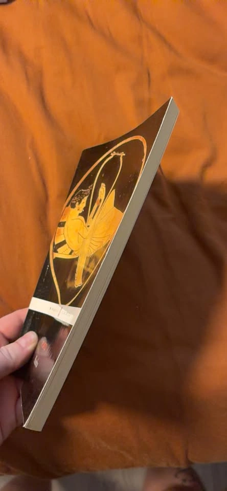 Plato Phaedrus Penguin Classics Book - photo 2