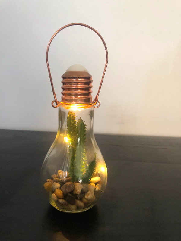 Lightbulb Lamp Cactus Fairy-light Decor Patio