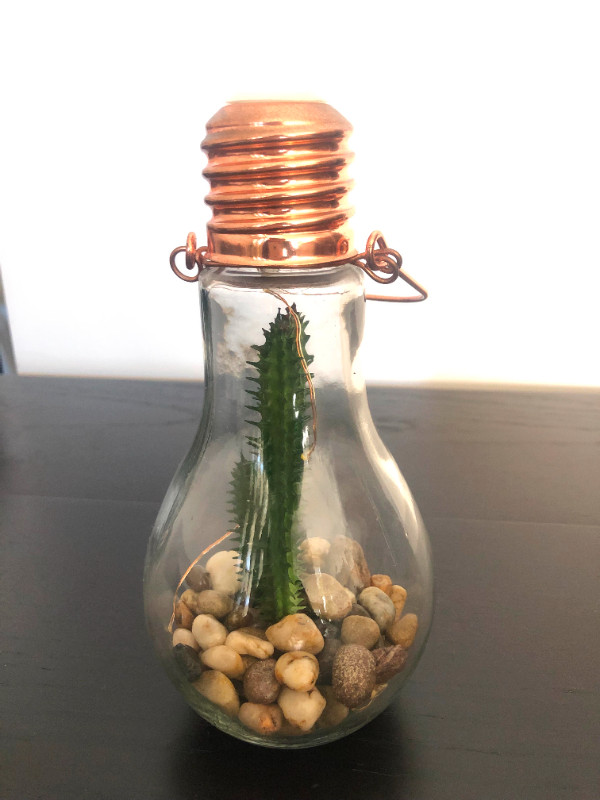 Lightbulb Lamp Cactus Fairy-light Decor Patio - photo 3