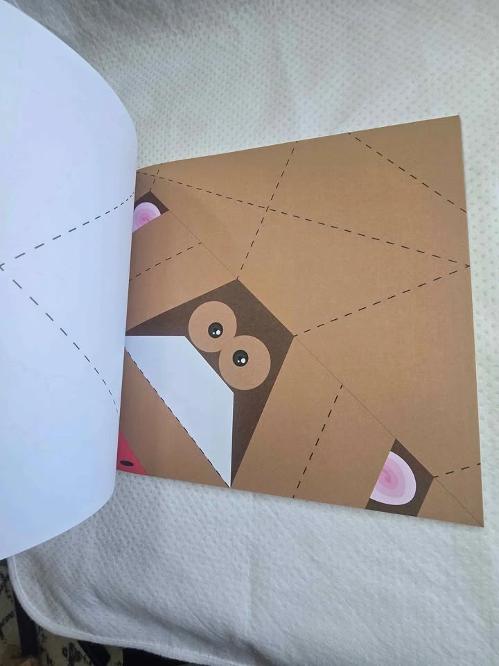 Amazing Origami for Kids by Rita Foelker - complete pages - photo 2