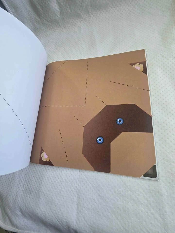Amazing Origami for Kids by Rita Foelker - complete pages - photo 3