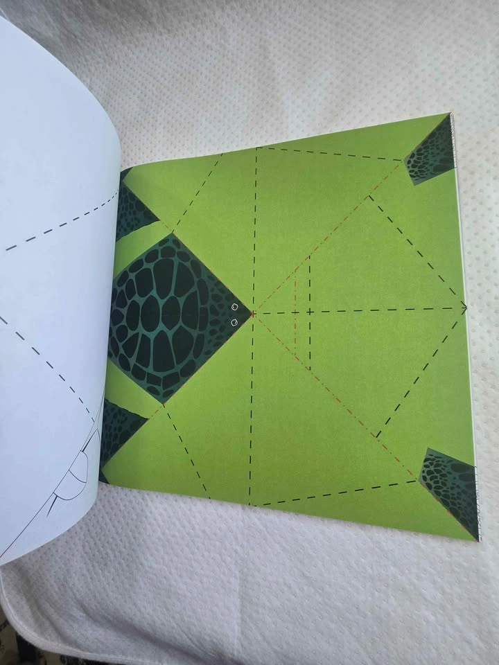 Amazing Origami for Kids by Rita Foelker - complete pages - photo 4