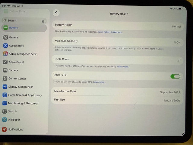 11” M4 iPad Pro 256gb WiFi+Cellular. 10/10 condition, 100% batt - photo 3