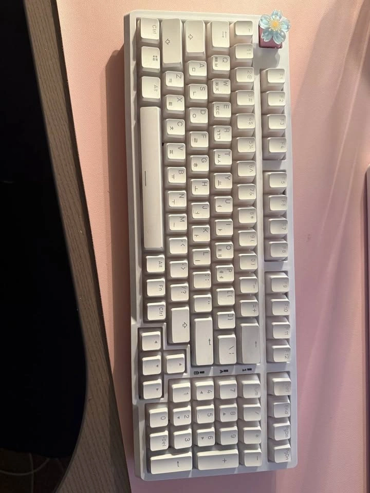 Mechanical Wireless Keyboard – KBDiy WK980 (Pink RGB) - photo 3