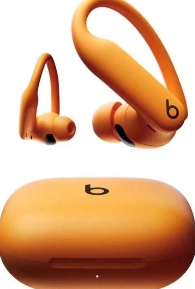 Beats Powerbeats Pro 2