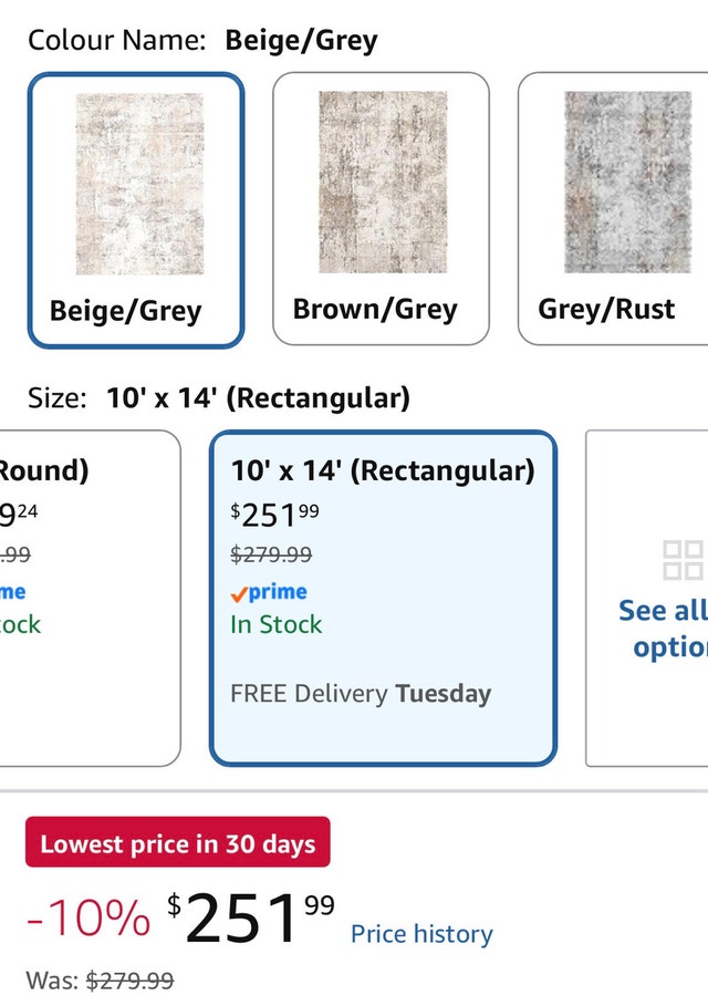 Beige and Grey 10' x 14' Area Rug - photo 3