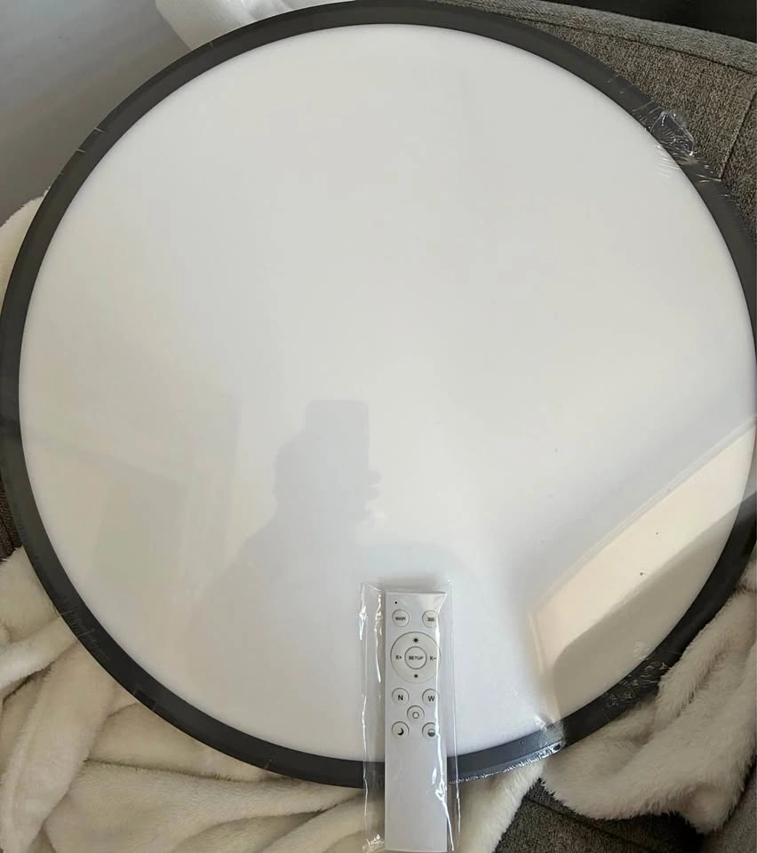 20" Bright Future Lighting LED Flush Mount Ceiling Light