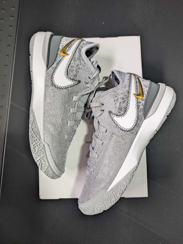 Nike Lebron NXXT Gen