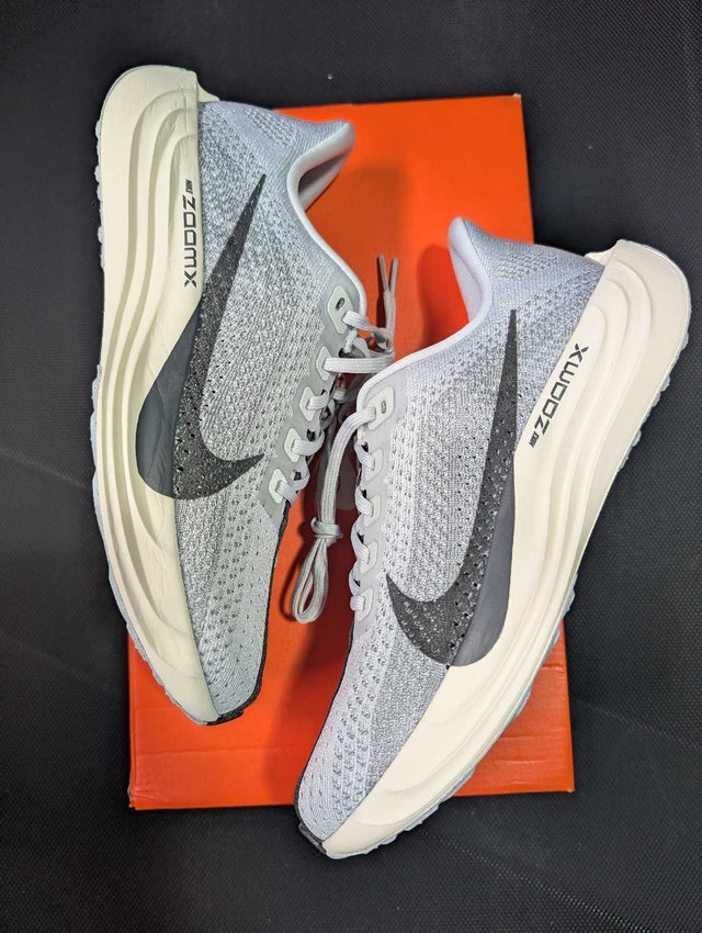 Nike Pegasus Plus