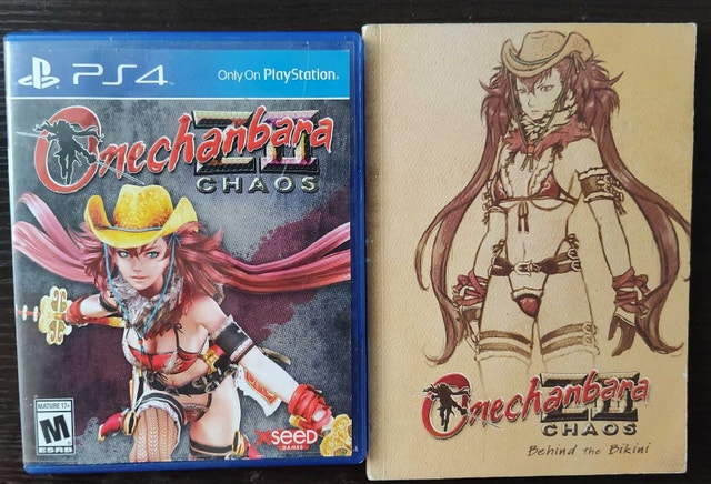 Onechanbara Z2: Chaos PlayStation 4 and Art book