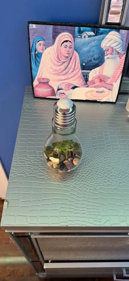 Decorative Rocks and Plants in a bottle