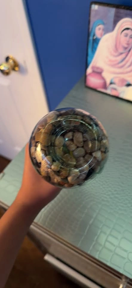Decorative Rocks and Plants in a bottle - photo 2
