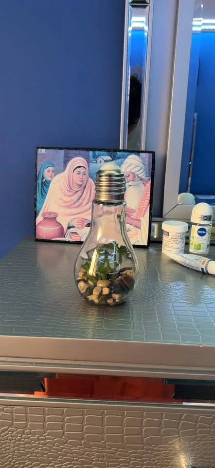 Decorative Rocks and Plants in a bottle - photo 4