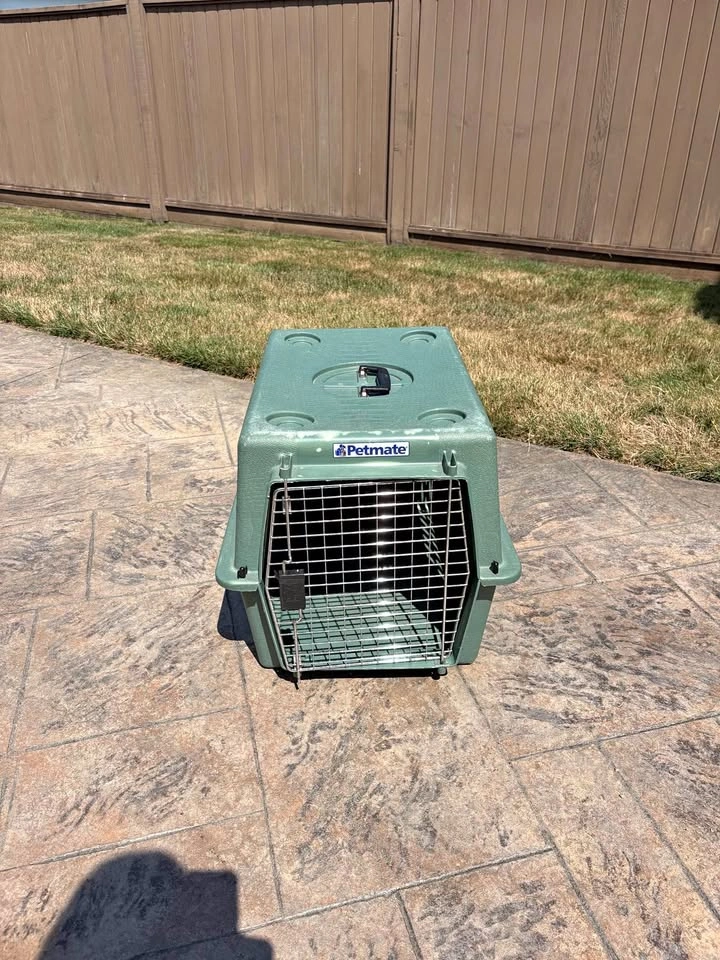 Petmate Pet Carrier