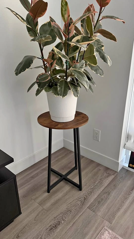 Plant stand
