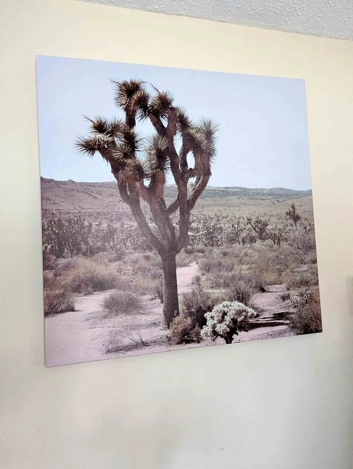 Large Joshua Tree Canvas Wall Art - Desert Landscape