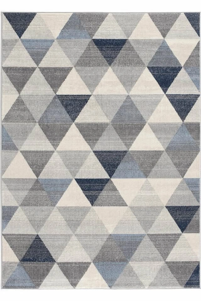Indoor Area Rug 8' x 11' - Moving Sale - photo 2