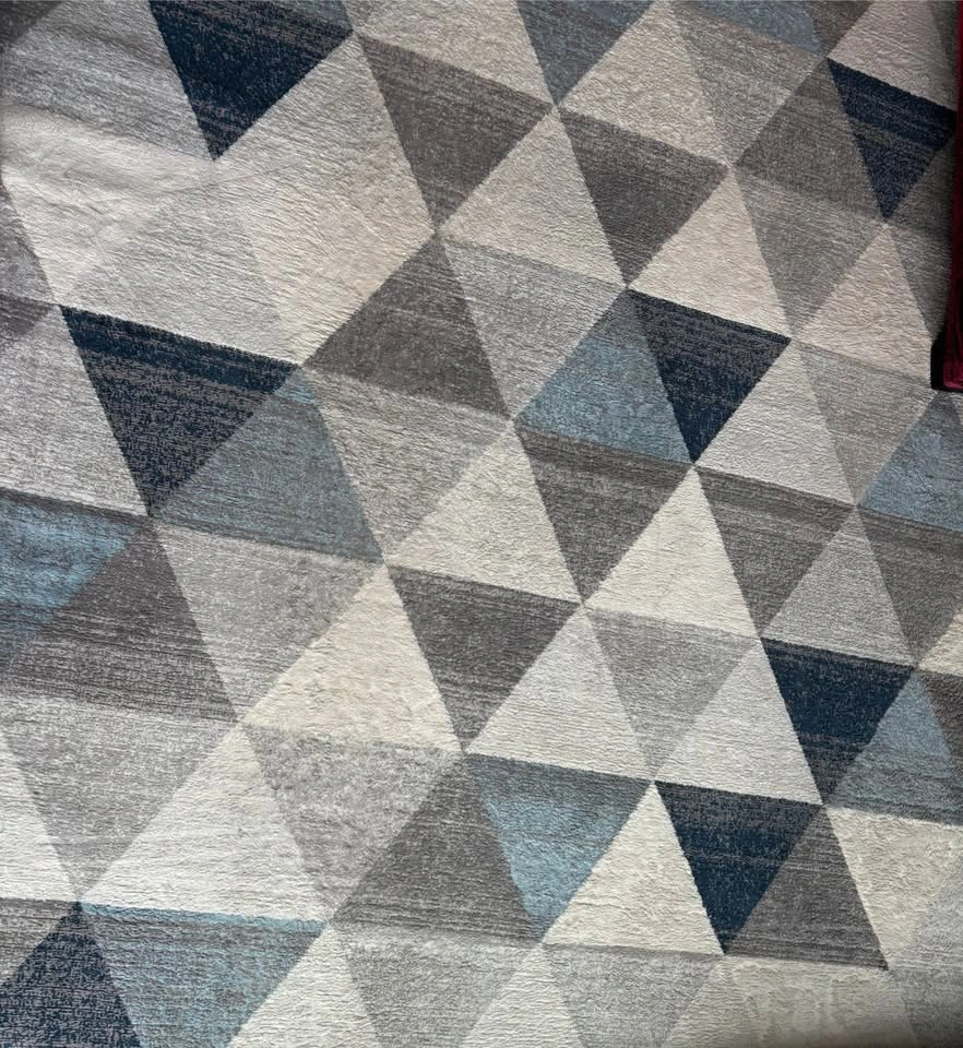 Indoor Area Rug 8' x 11' - Moving Sale - photo 5