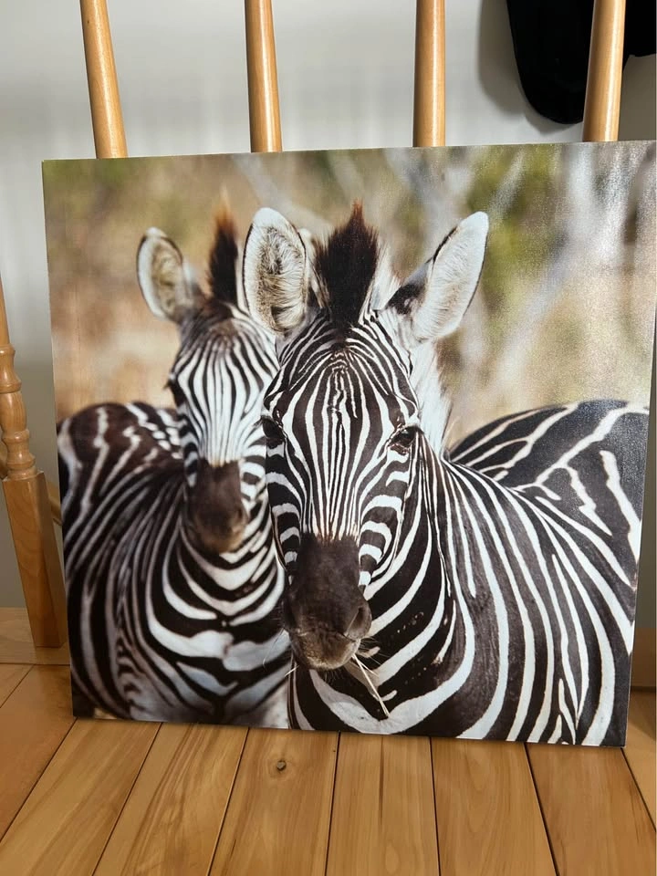 20"x20" Zebra Frames - photo 2