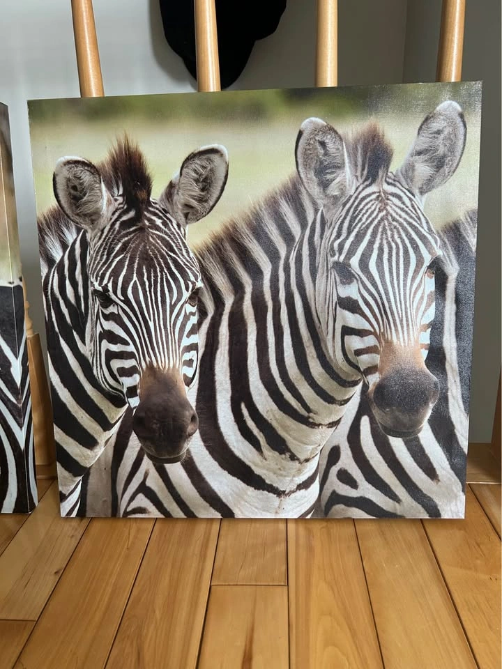 20"x20" Zebra Frames - photo 3
