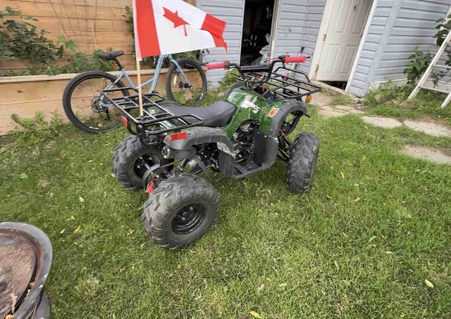 Taotao 125cc ATV