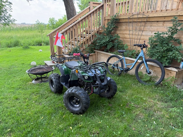 Taotao 125cc ATV - photo 2
